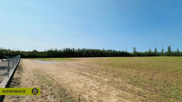 Terreno en camino del Mar