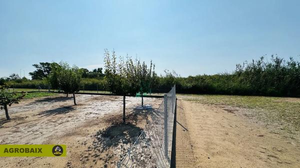 Terreno en camino del Mar