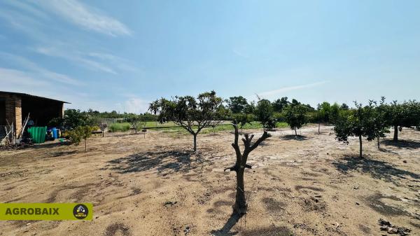 Terreno en camino del Mar