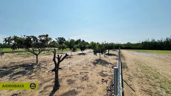 Terreno en camino del Mar