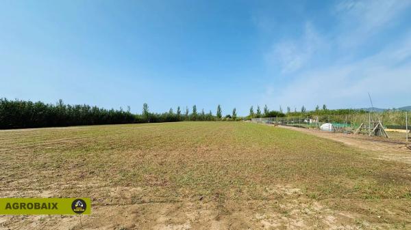 Terreno en camino del Mar