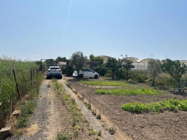 Terreno en camino dels Llanossos