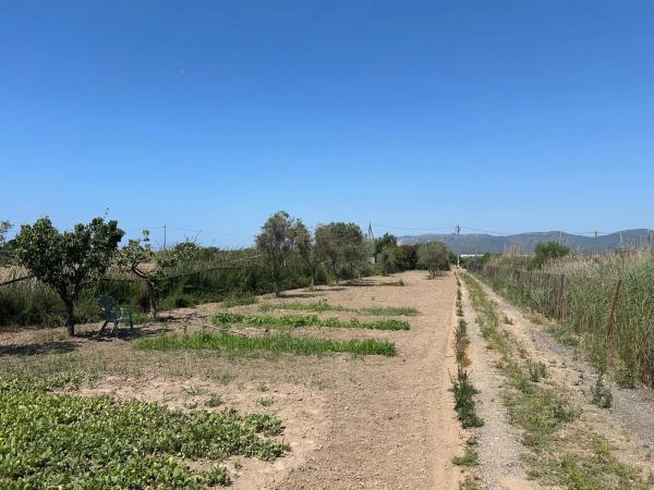 Terreno en camino dels Llanossos