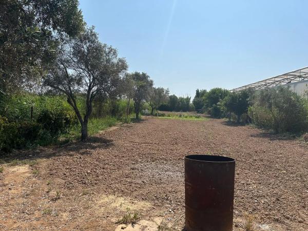 Terreno en camino dels Llanossos