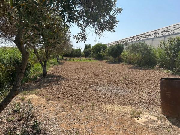 Terreno en camino dels Llanossos