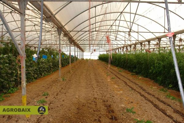 Terreno en Parc Empresarial