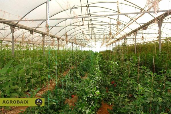 Terreno en Parc Empresarial