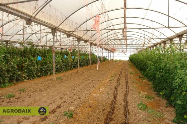 Terreno en Parc Empresarial