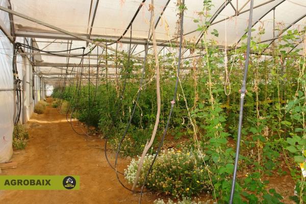 Terreno en Parc Empresarial