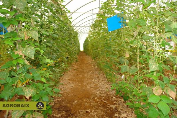 Terreno en Parc Empresarial