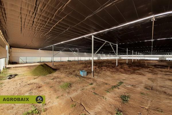 Terreno en Parc Empresarial