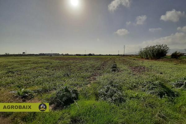 Terreno en Parc Empresarial
