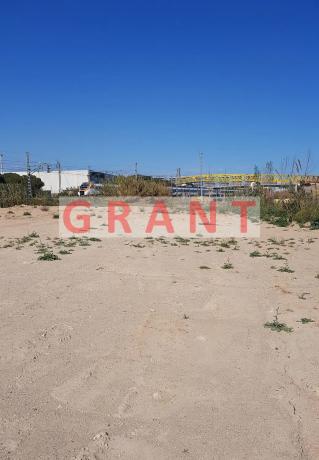 Terreno en camino de la Via, 66