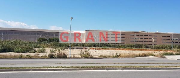 Terreno en camino de la Via, 66