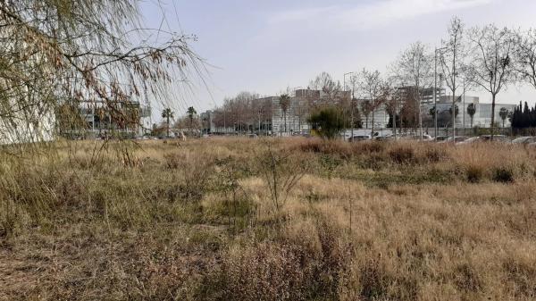 Terreno en Parc Empresarial