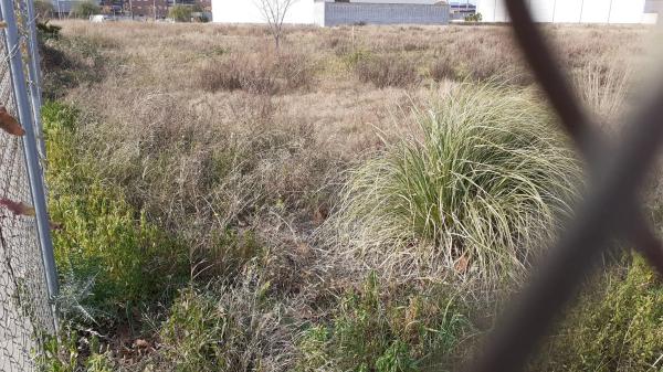 Terreno en Parc Empresarial