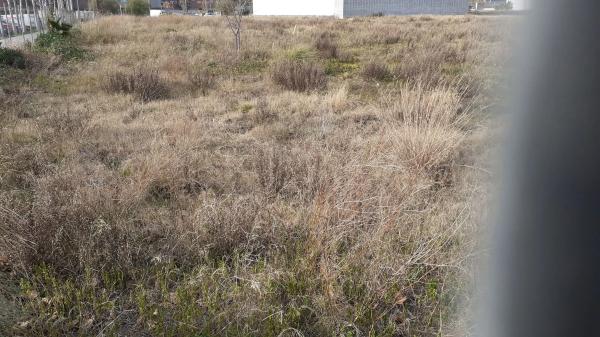 Terreno en Parc Empresarial