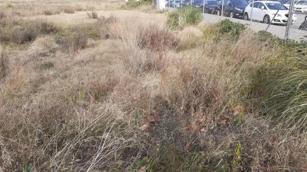 Terreno en Parc Empresarial