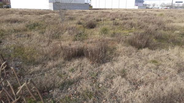 Terreno en Parc Empresarial