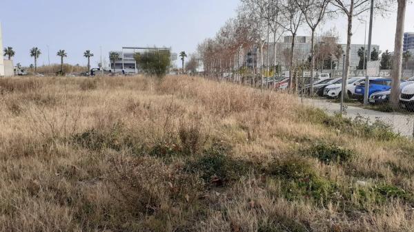 Terreno en Parc Empresarial