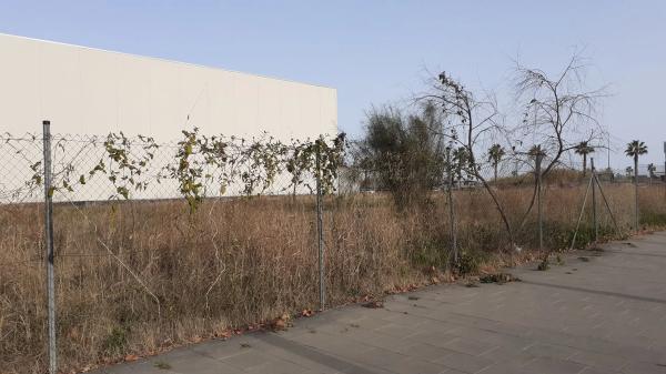 Terreno en Parc Empresarial