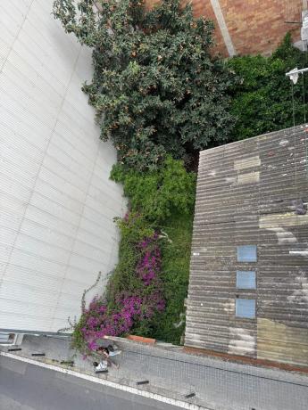 Terreno en calle de Dante Alighieri s/n