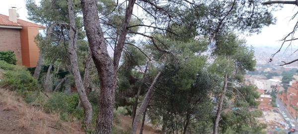 Terreno en carretera de las Aguas, 396