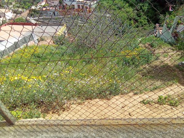 Terreno en calle de Llerona, 125