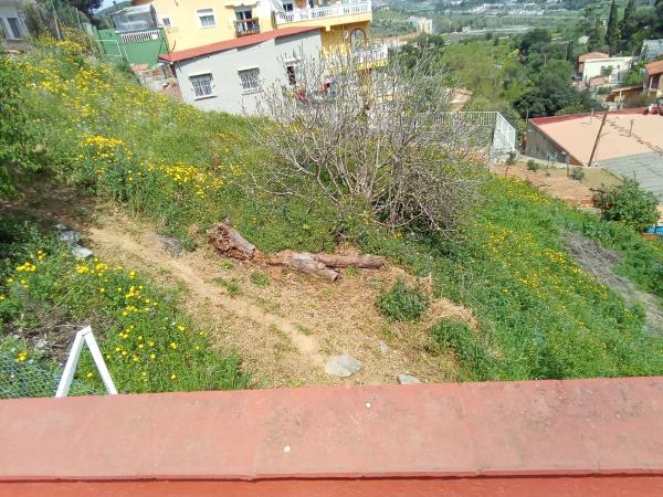 Terreno en calle de Llerona, 125