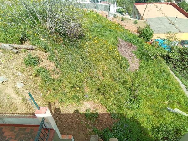 Terreno en calle de Llerona, 125