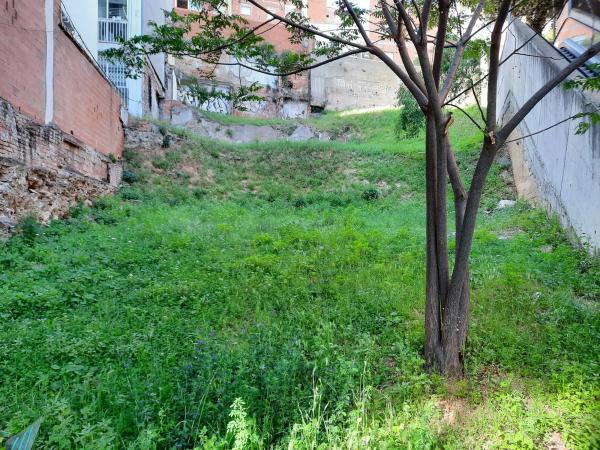 Terreno en cantera, 57