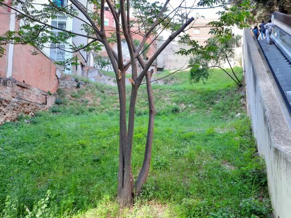 Terreno en cantera, 57