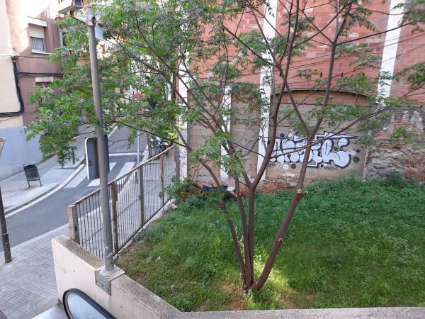 Terreno en cantera, 57