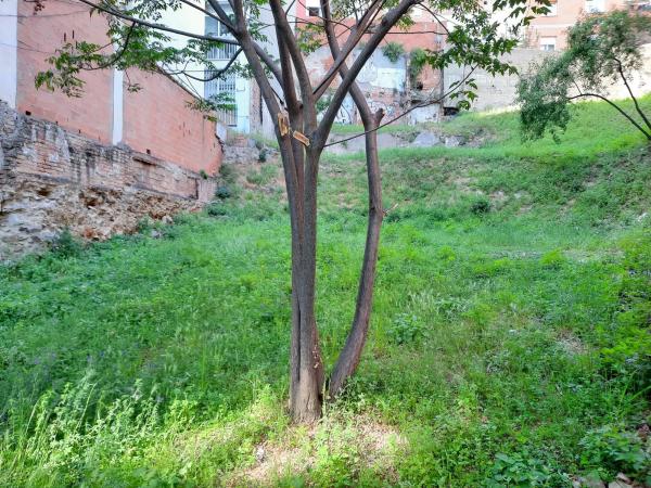 Terreno en cantera, 57