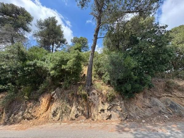 Terreno en paseo de la Vimetera, 29