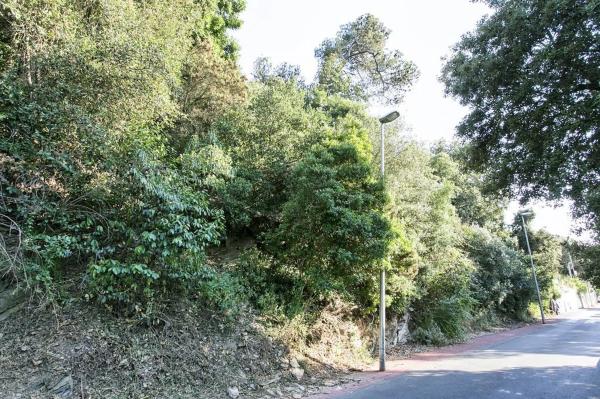 Terreno en calle Major del Rectoret