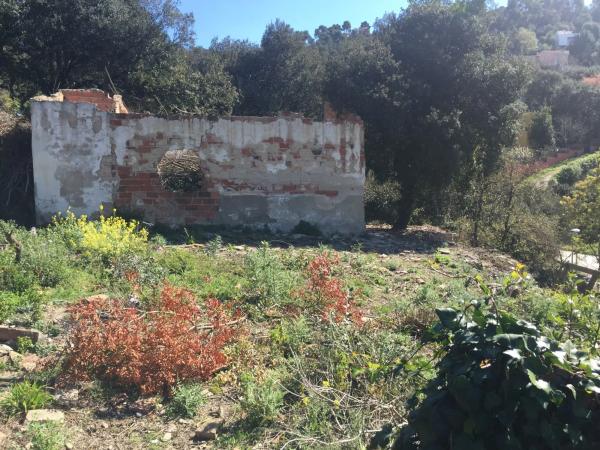 Terreno en calle Major del Rectoret, 72