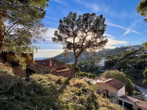 Terreno en calle de la Font del Mont, 181