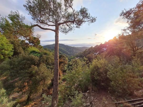 Terreno en calle dels Geranis, 4