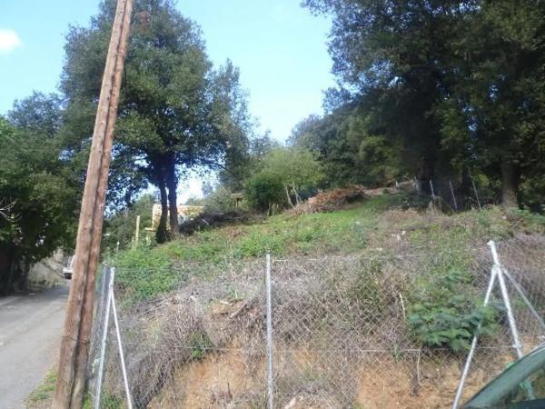 Terreno en calle dels geranis