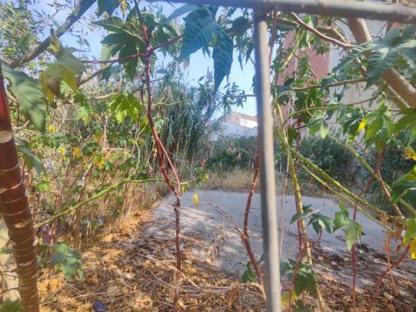 Terreno en calle de Pere Iii, 46