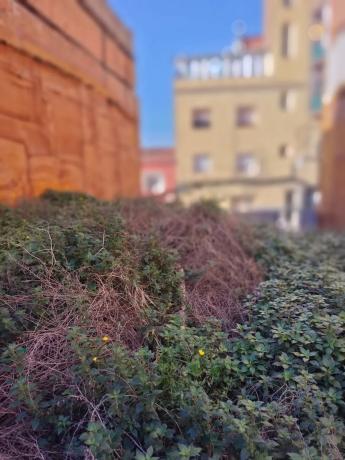 Terreno en calle de Sant Antoni Abat