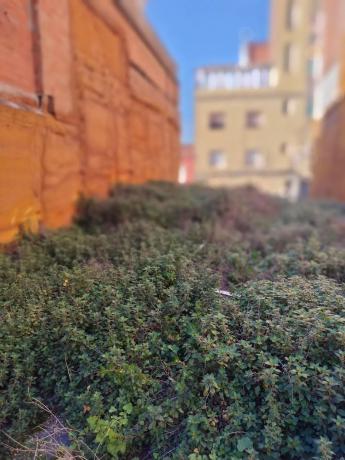 Terreno en calle de Sant Antoni Abat