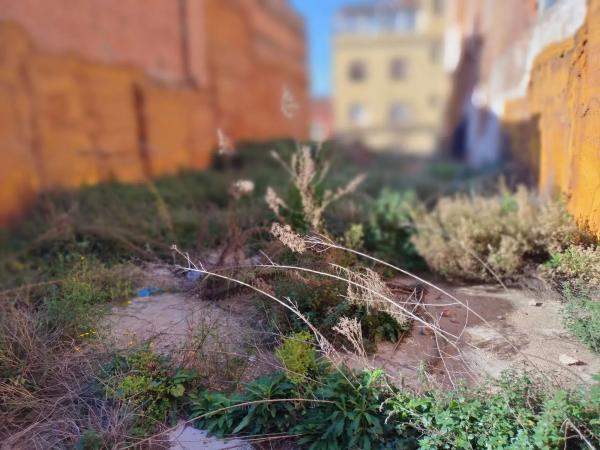 Terreno en calle de Sant Antoni Abat