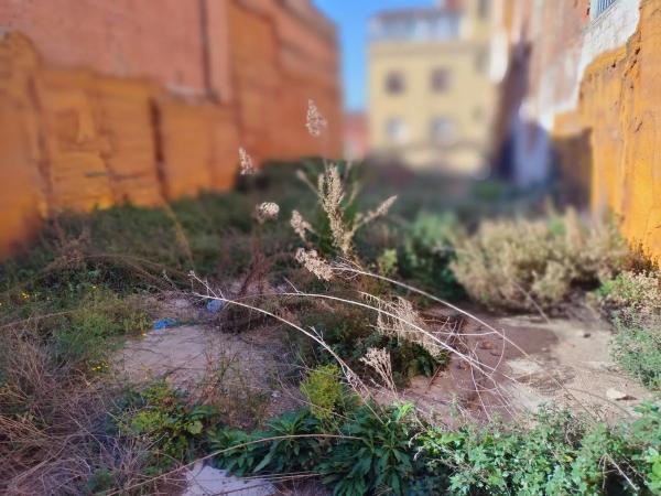 Terreno en calle de Sant Antoni Abat