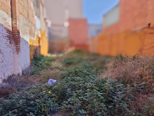 Terreno en calle de Sant Antoni Abat