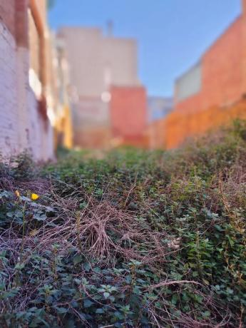 Terreno en calle de Sant Antoni Abat