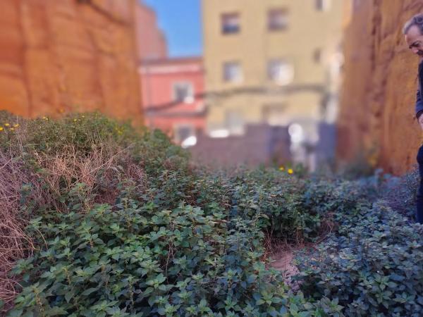 Terreno en calle de Sant Antoni Abat