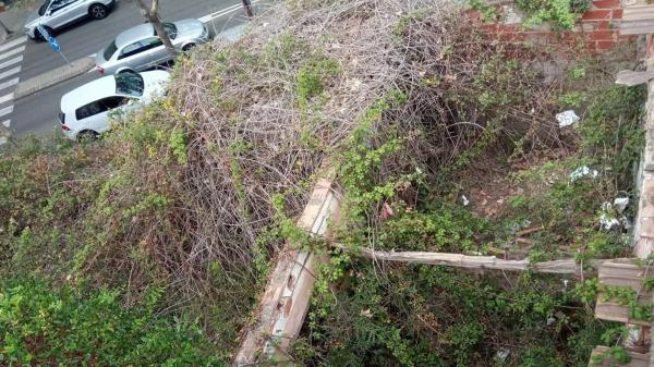 Terreno en calle del Pintor Sorolla, 33