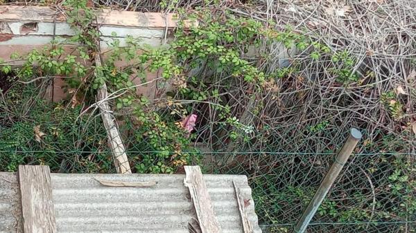 Terreno en calle del Pintor Sorolla, 33